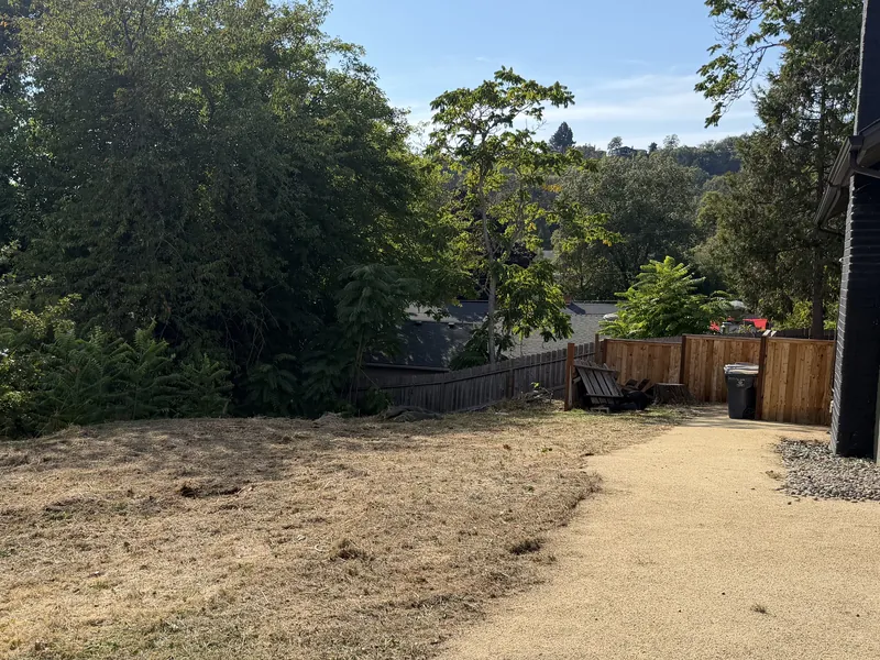 The same backyard corner with the sapling thicket cut out and the ground taken down to short grass, the wood fence and gravel path open again, after brush trimming by Peak Landscaping in Southern Oregon