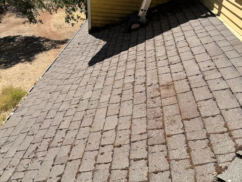Asphalt shingle roof loaded with pine needle debris and organic buildup next to a ladder before a Peak roof cleaning in Southern Oregon