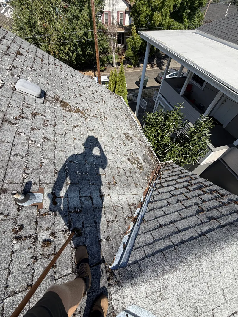 Asphalt shingle roof crusted with white lichen clumps and moss before Peak Landscaping cleaned it, Southern Oregon