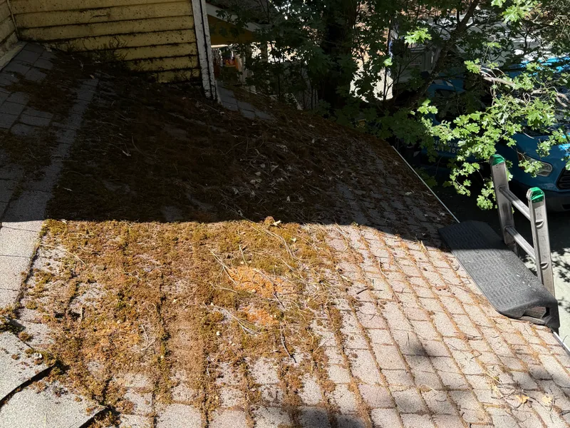 Asphalt shingle roof coated in heavy moss and organic buildup before a Peak roof cleaning in Southern Oregon