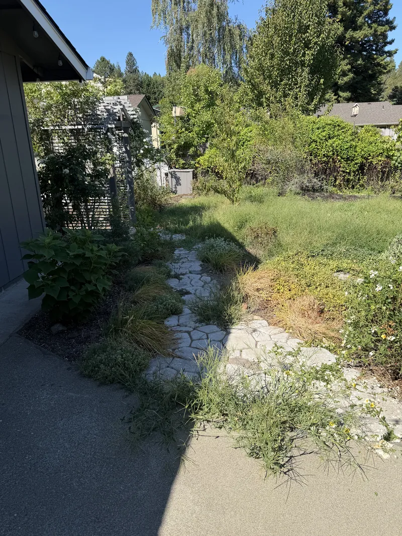 Backyard flagstone path buried under weeds and overgrown grass before Peak Landscaping cleaned up the yard in Southern Oregon