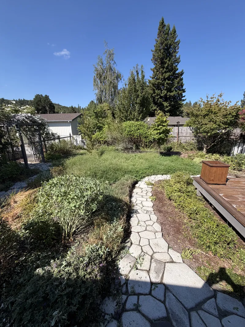 Backyard lawn and garden beds overgrown with tall dry weeds before a Peak Landscaping cleanup in Southern Oregon